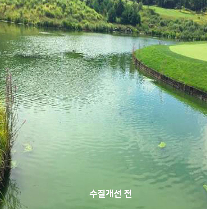 성과02_01.jpg