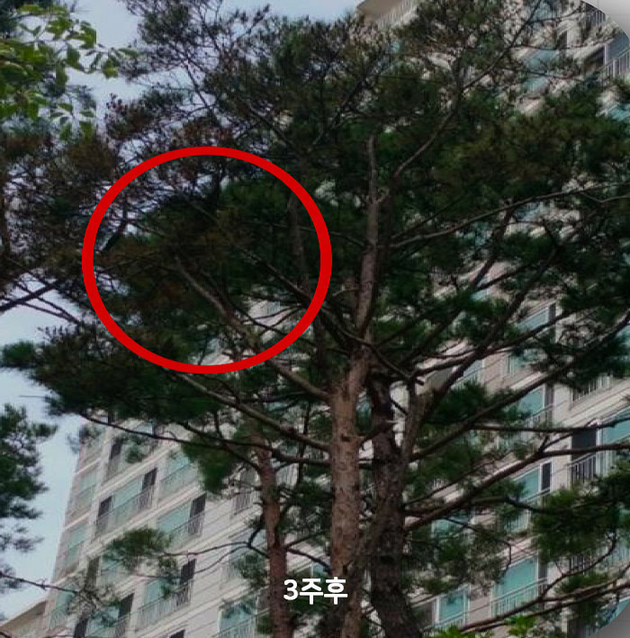 성과05_02.jpg