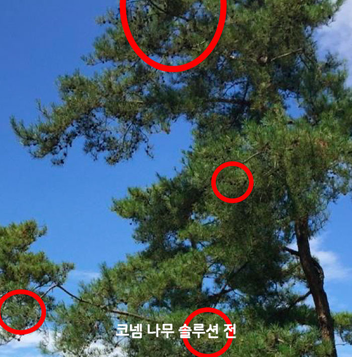 성과056_01.jpg