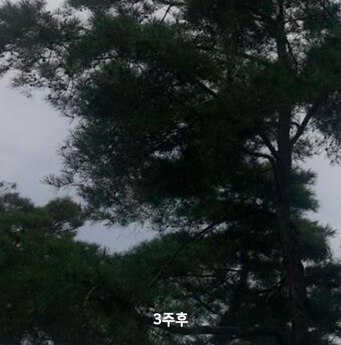 성과056_02.jpg
