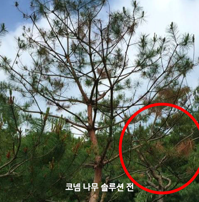 성과07_01.jpg