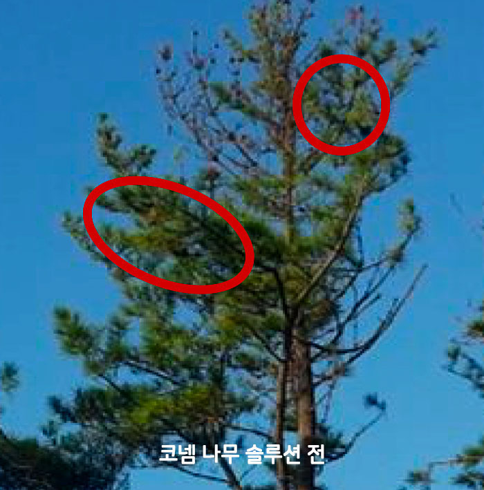 성과8_01.jpg